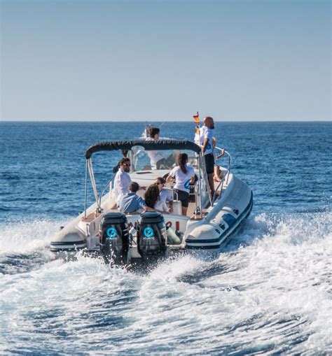 atlantic eco experience|Atlantic Eco Experience • Tenerife Whale Watching • .